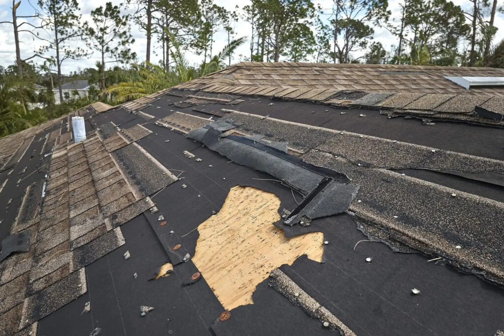 Roof Repair