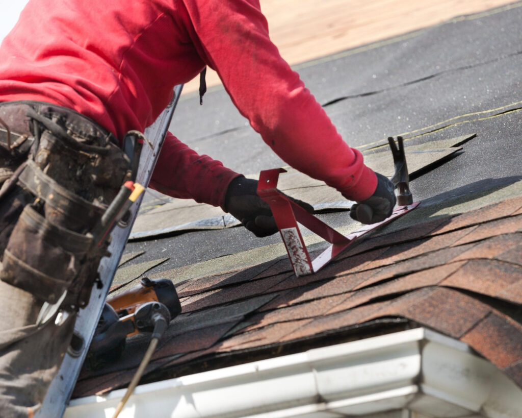 Urgent Roof Damage Warnings